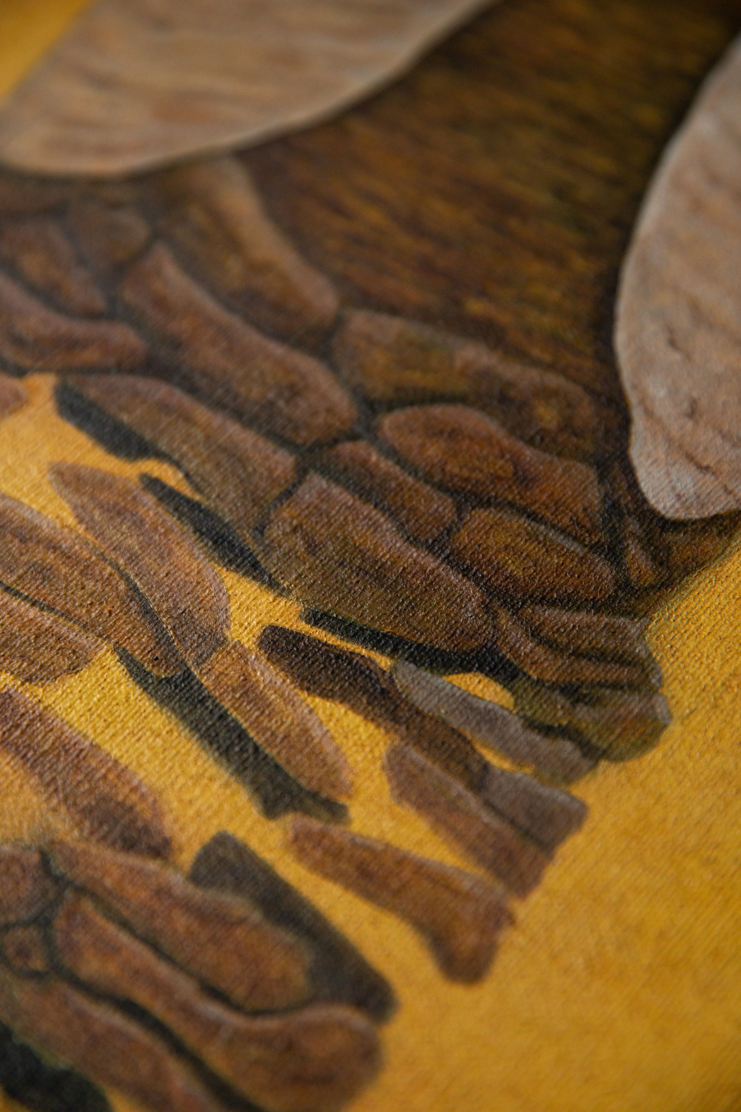 Transformation. Astrakhov Pavel, photographer and artist