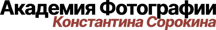 sorokin-academy.ru