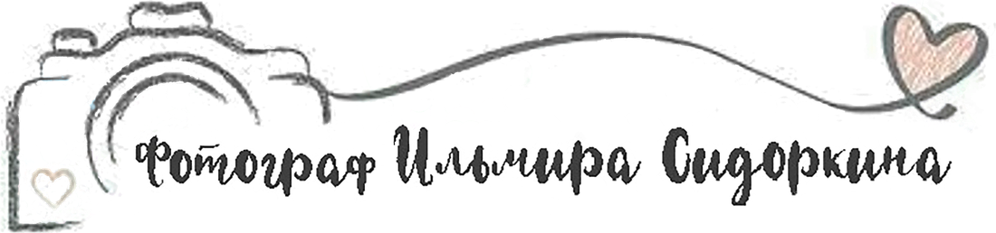 ilmirasidorkina.wfolio.pro