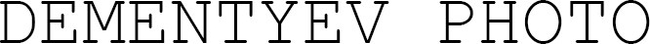 dementyevphoto.ru