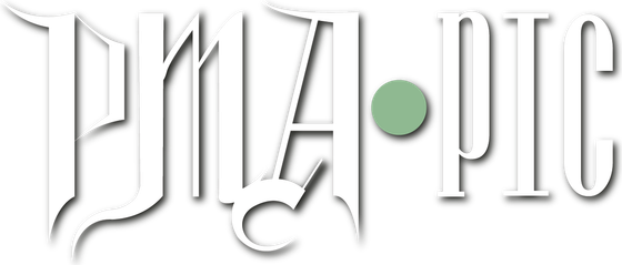 pm-pic.ru