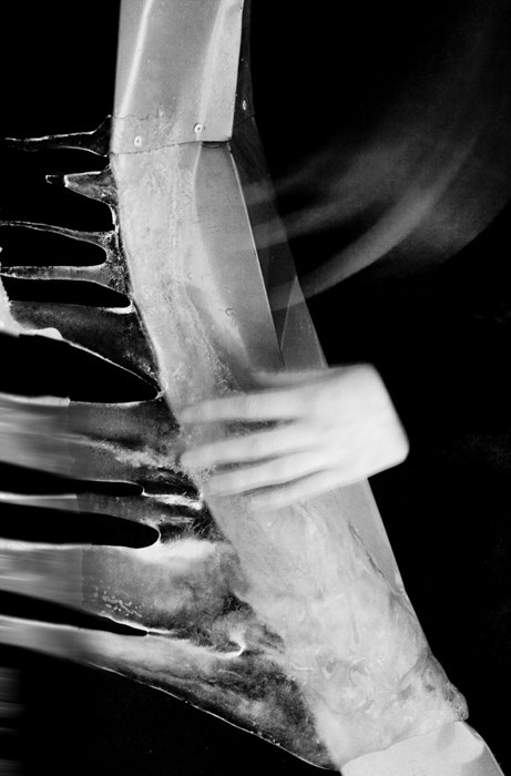 Archive ptoto projects. Янина болдырева Yanina Boldyreva