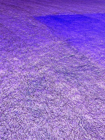 MINIMALISM. VISUAL ARTIST