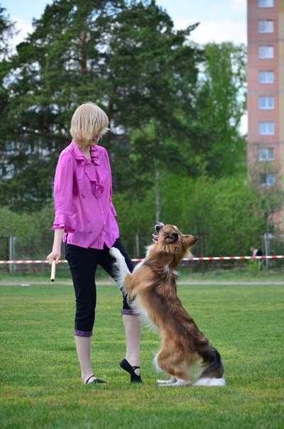 О нас. BLGKV питомник собак