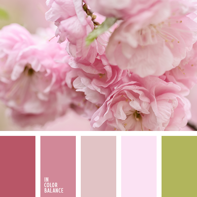 Полезная информация. Фотограф беременности и семейный фотограф в Могилеве, Минске Елена Шин