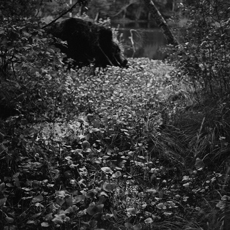 МАРИЯ КОЖАНОВА