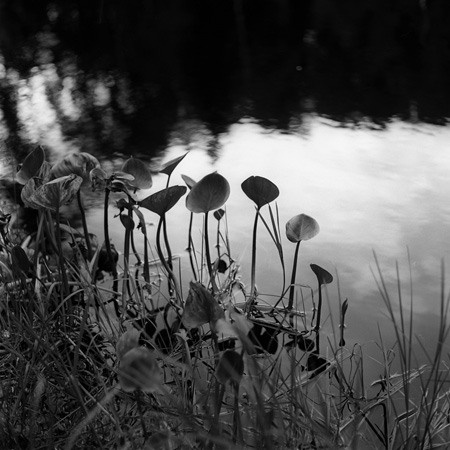 МАРИЯ КОЖАНОВА