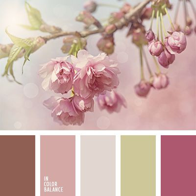 Полезная информация. Фотограф беременности и семейный фотограф в Могилеве, Минске Елена Шин