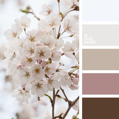 Полезная информация. Фотограф беременности и семейный фотограф в Могилеве, Минске Елена Шин