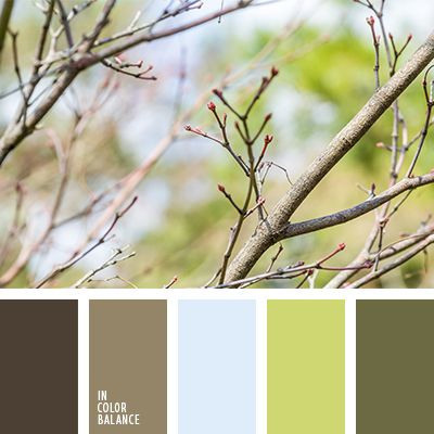 Полезная информация. Фотограф беременности и семейный фотограф в Могилеве, Минске Елена Шин