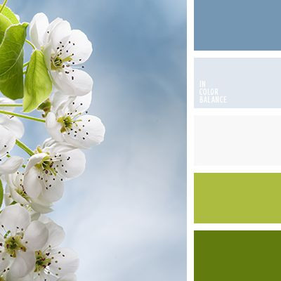 Полезная информация. Фотограф беременности и семейный фотограф в Могилеве, Минске Елена Шин