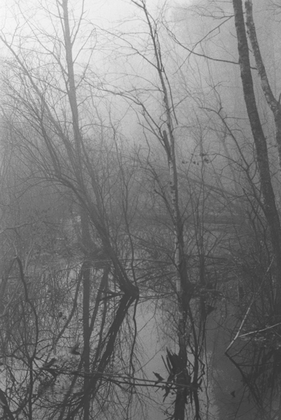 Автор: Александр Бельков