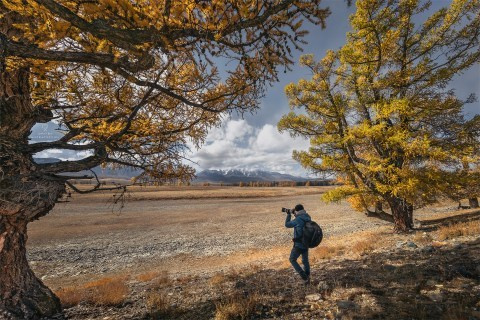 Осенний Алтай. Пейзажный & Timelapse фотограф Роман Любимский