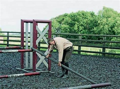 Founder. Liana Antanovich | Equestrian Strategies