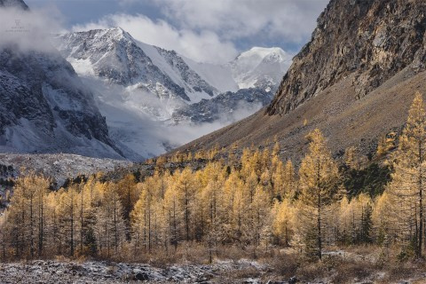 Осенний Алтай. Пейзажный & Timelapse фотограф Роман Любимский