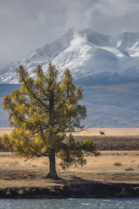 Осенний Алтай. Пейзажный & Timelapse фотограф Роман Любимский