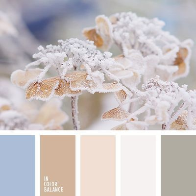 Полезная информация. Фотограф беременности и семейный фотограф в Могилеве, Минске Елена Шин