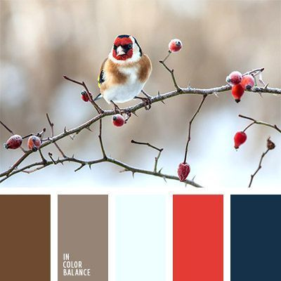 Полезная информация. Фотограф беременности и семейный фотограф в Могилеве, Минске Елена Шин