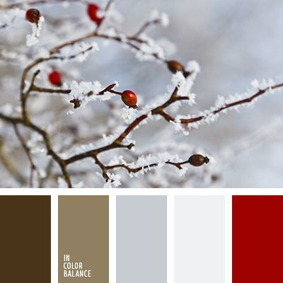 Полезная информация. Фотограф беременности и семейный фотограф в Могилеве, Минске Елена Шин