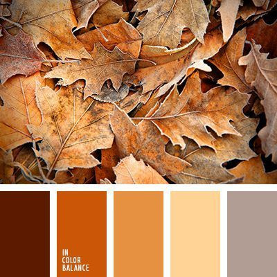 Полезная информация. Фотограф беременности и семейный фотограф в Могилеве, Минске Елена Шин