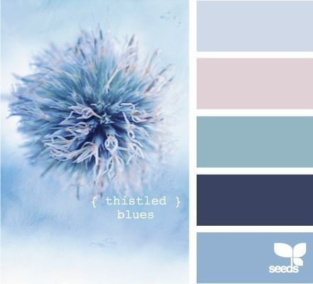 Полезная информация. Фотограф беременности и семейный фотограф в Могилеве, Минске Елена Шин