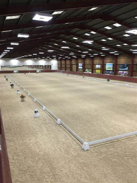 Founder. Liana Antanovich | Equestrian Strategies