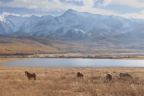 Осенний Алтай. Пейзажный & Timelapse фотограф Роман Любимский