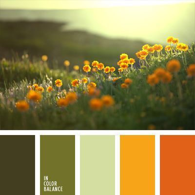 Полезная информация. Фотограф беременности и семейный фотограф в Могилеве, Минске Елена Шин