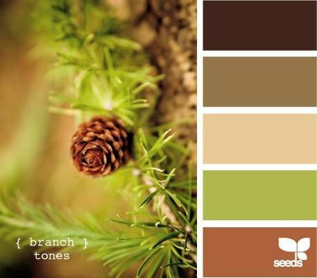 Полезная информация. Фотограф беременности и семейный фотограф в Могилеве, Минске Елена Шин