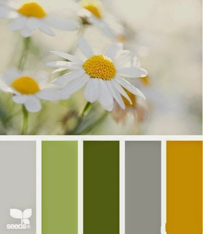 Полезная информация. Фотограф беременности и семейный фотограф в Могилеве, Минске Елена Шин