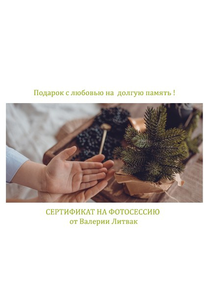 Семейная Новогодняя фотосессия. Семейный и бизнес фотограф в Москве Валерия Литвак