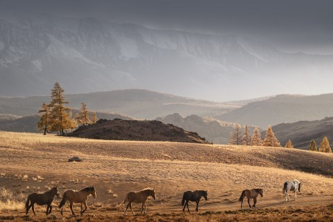 Осенний Алтай. Пейзажный & Timelapse фотограф Роман Любимский