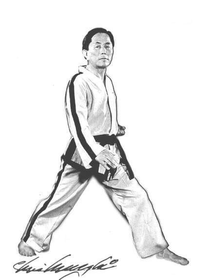 История Тхэквондо. Спортивный Клуб Тхэквондо «SIPJIN»