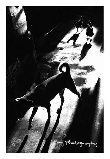 Inspiration — my Photographers list p.3. Moscow street photography workshops and photo tourism