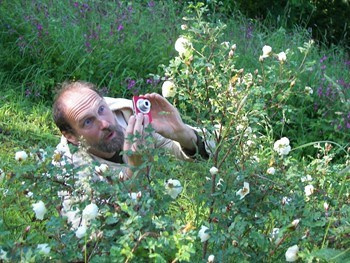 Розы и шиповники акварелью Ольги Цуриной: нежные цветы, птицы и пчёлы