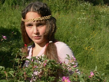 Розы и шиповники акварелью Ольги Цуриной: нежные цветы, птицы и пчёлы