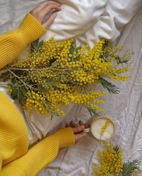 Фотосессии с живыми цветами в Железнодорожном