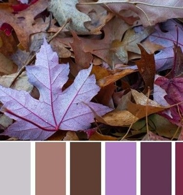 Что надеть на фотосессию в зал Шале?. Семейный и Свадебный фотограф. Санкт-Петербург. Пушкин