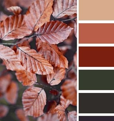 Что надеть на фотосессию в зал Шале?. Семейный и Свадебный фотограф. Санкт-Петербург. Пушкин