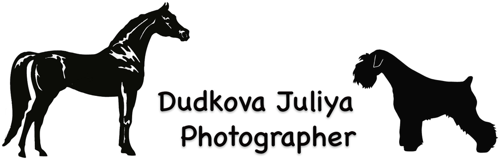 dudkovaphoto.ru
