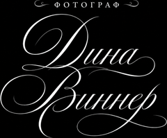 dinawinner.ru