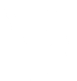 alisavisuals.com