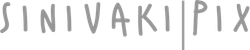 sinivaki.wfolio.pro