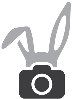 dimonfoto.ru