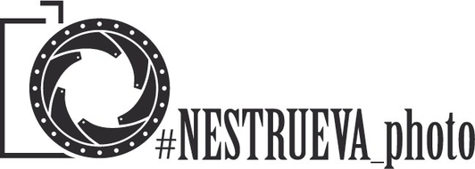 neprosport.com