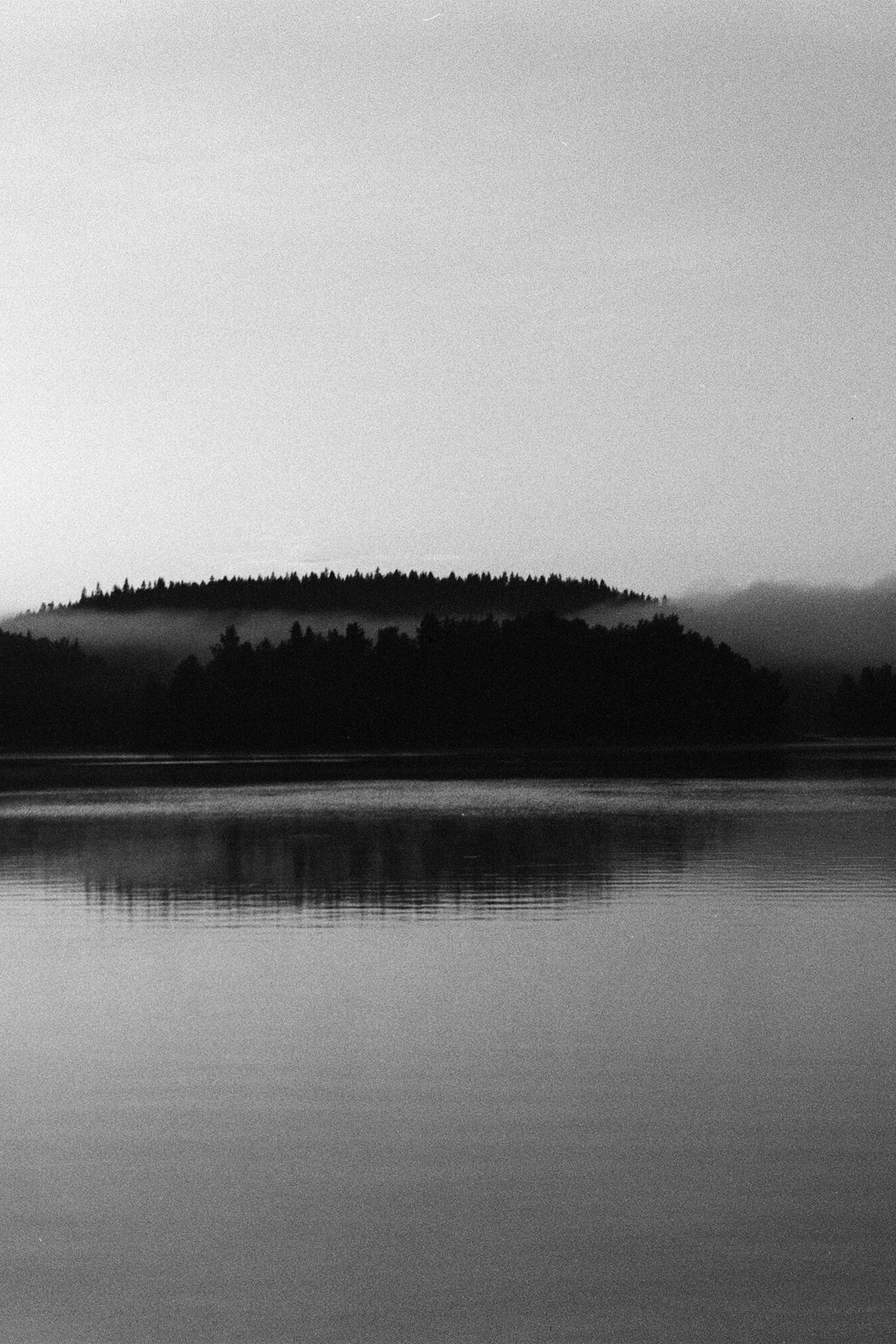 Текущие съёмки. Фотограф в Санкт-Петербурге и Москве Наталья Милли