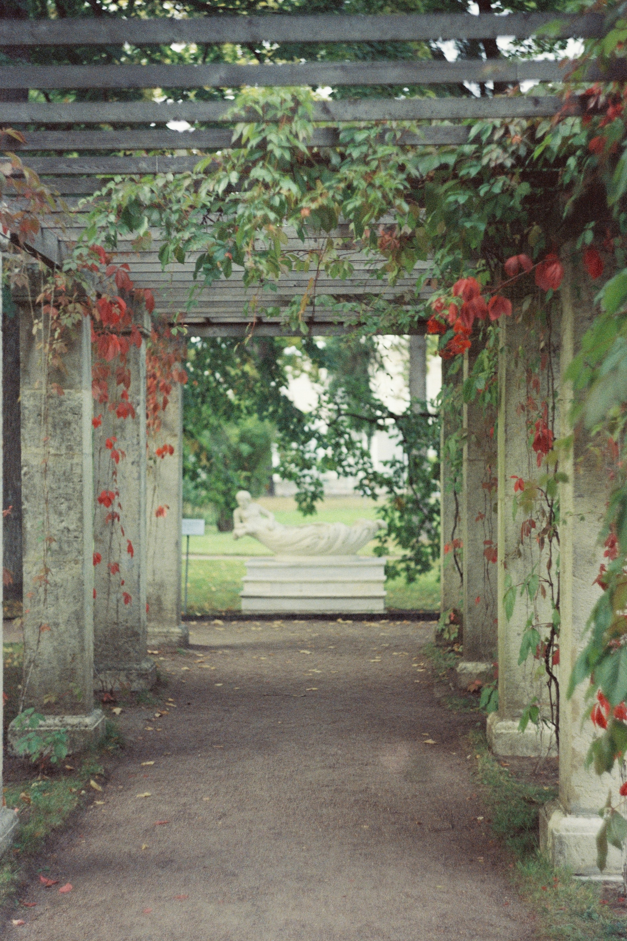 Текущие съёмки. Фотограф в Санкт-Петербурге и Москве Наталья Милли