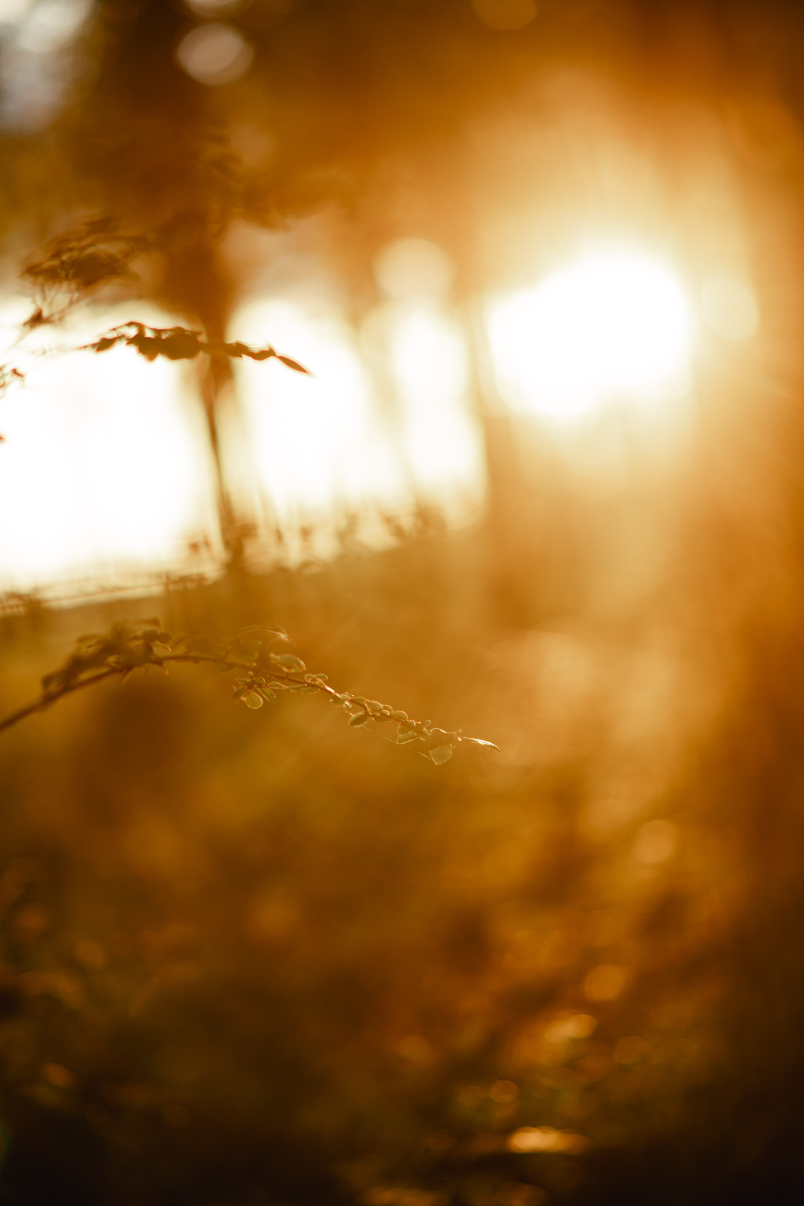 Истории. Семейный и детский фотограф в Екатеринбурге и НевьянскеТимурова Алина