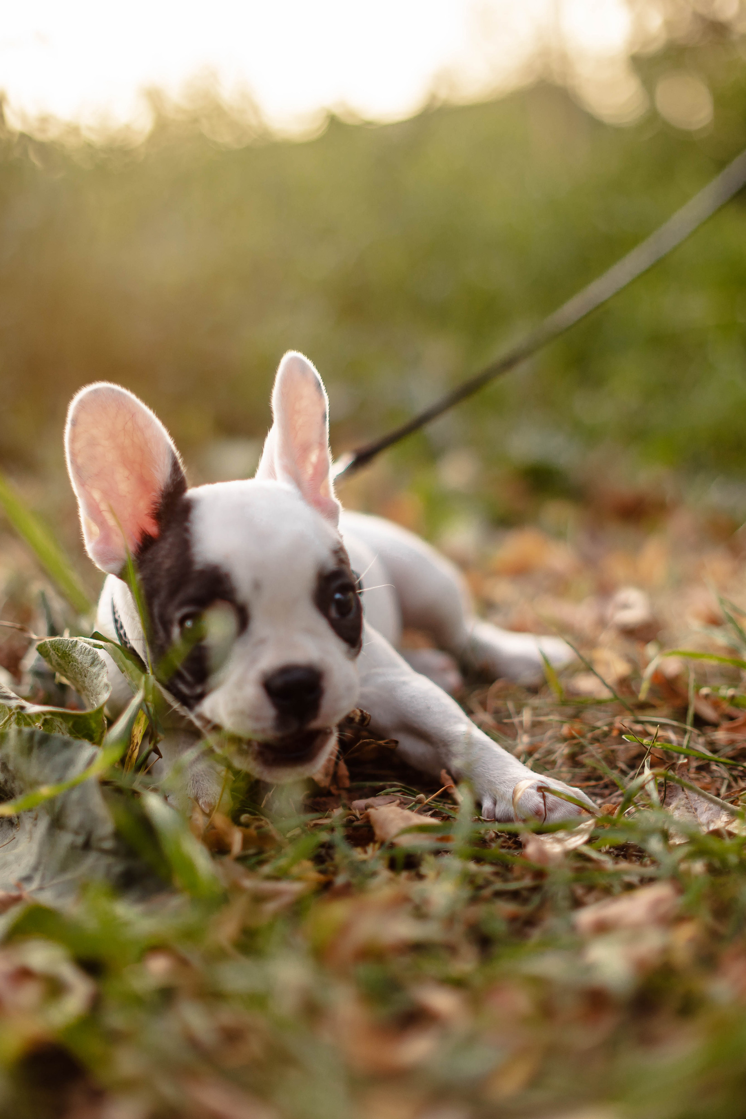 Истории. Семейный и детский фотограф в Екатеринбурге и НевьянскеТимурова Алина