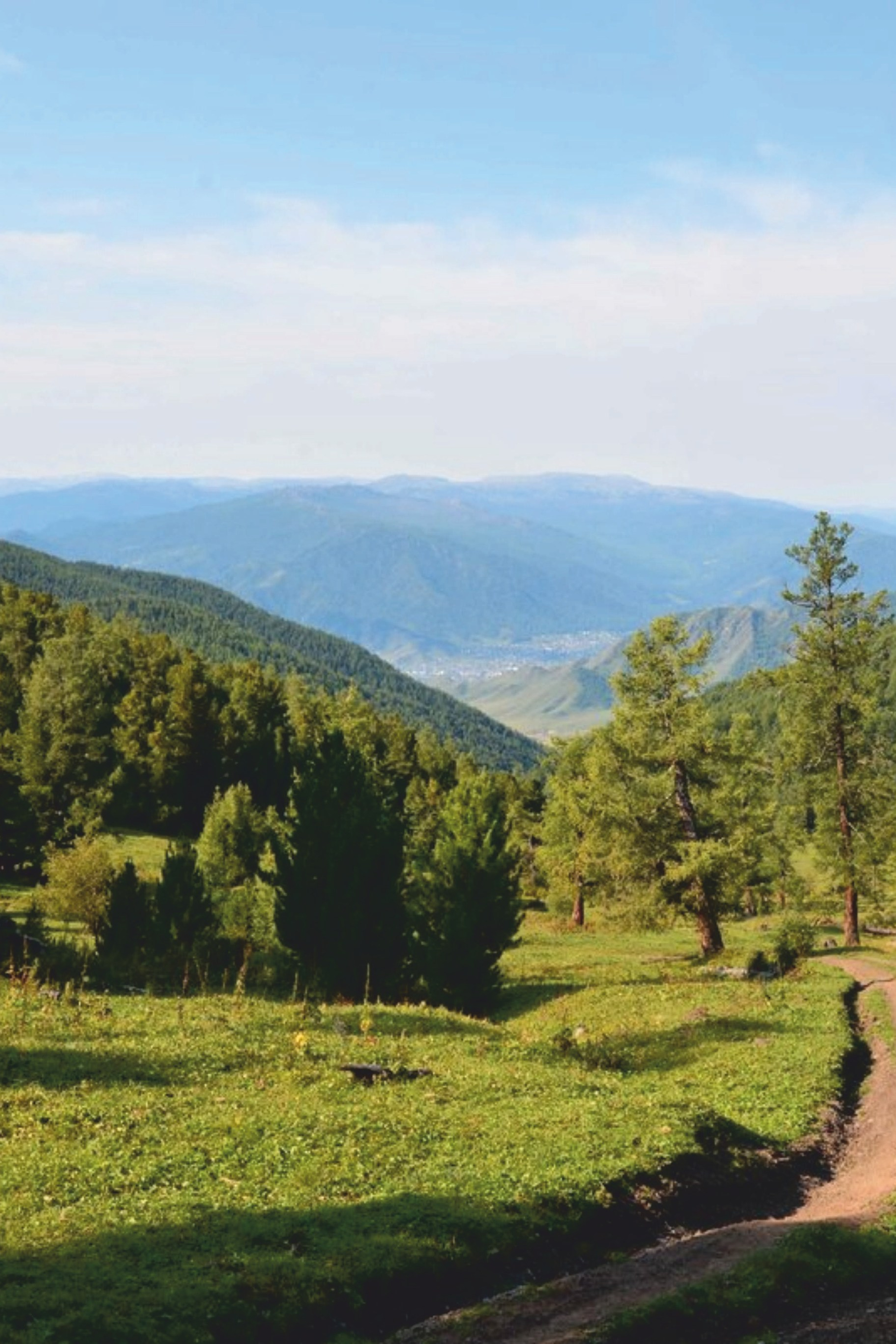 НОВОСТИ недвижимости Алтая. Банк земельных участков Алтая